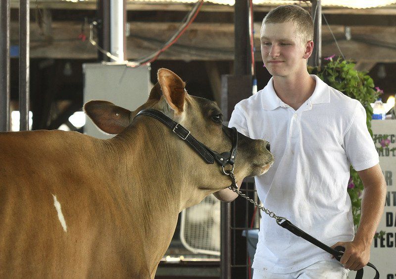 Families pass on traditions at annual Newton County Fair